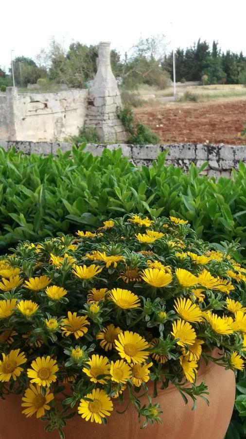 Villetta Orchidea Giuggianello المظهر الخارجي الصورة