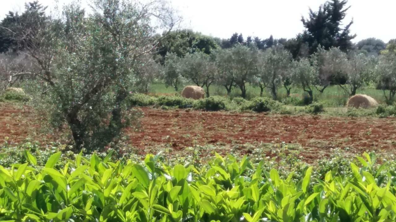 Villetta Orchidea Giuggianello المظهر الخارجي الصورة
